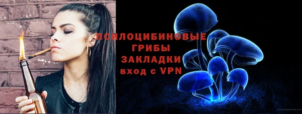 трава Сосновоборск