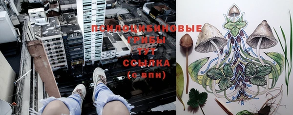 MDMA Premium VHQ Сосновка