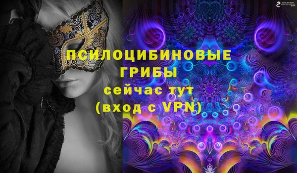 спиды Снежинск